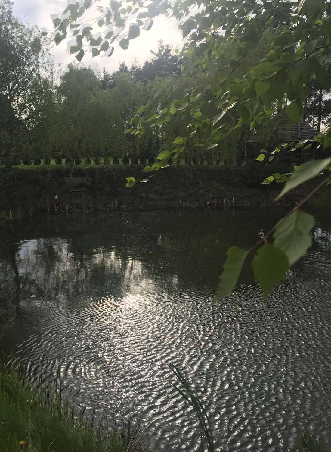 пруд для рыбалки